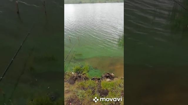 Рыбалка в подсопках 2020год. Подссопки. Рыбака в красноярске. Озеро подсопки. Рыбалка на карася. смотреть онлайн