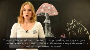 Биология I Царство грибы. Общая характеристика и строение. Биология ЕГЭ.