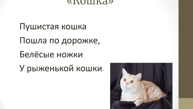 Автоматизация звука [Ш] в стихотворениях смотреть онлайн