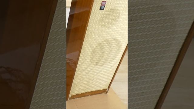 USSR 60s floorstanding speakers disassembly смотреть онлайн