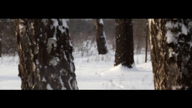 Евгений Войт - Зимний лес Chill Trap видео превью смотреть онлайн
