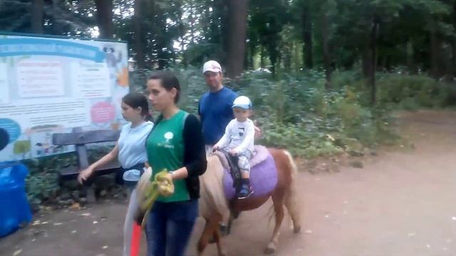 Самая лучшая возможность недорого провести выходные дни с детьми! смотреть онлайн