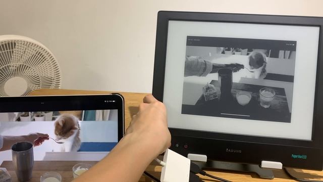 Using Dasung Paperlike HDFT as an external display for iPad Pro смотреть онлайн