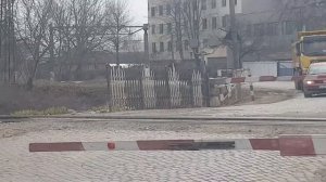 Разведение цыплят! Породы цыплят! Мастер, Редбро , Голошея( испанка )