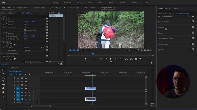 Как сделать видео черно белым в Premiere pro смотреть онлайн