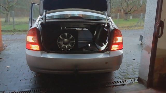 POLIZEI долго не уговаривают / заставили делать стопы / допрос беженки смотреть онлайн