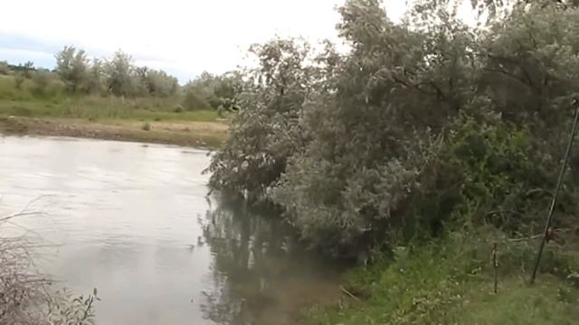 Рыбалка в Буденновке, Туймекент, Сарыкемер, Михайловка, Тараз, Джамбул, 2013 год смотреть онлайн