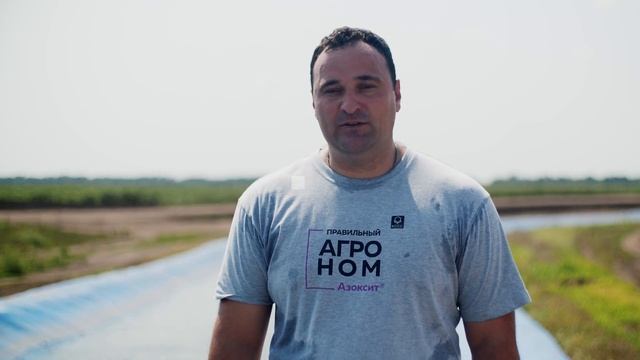 Защита сои культурной в условиях Самарской области