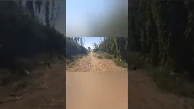 Где-то в Зидэ, Турция. Бардак вне отелей на почти что высшем уровне! смотреть онлайн