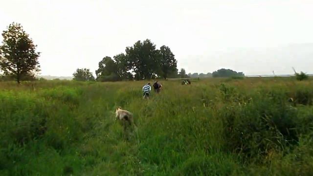 Велосреда 04-07-2012 смотреть онлайн