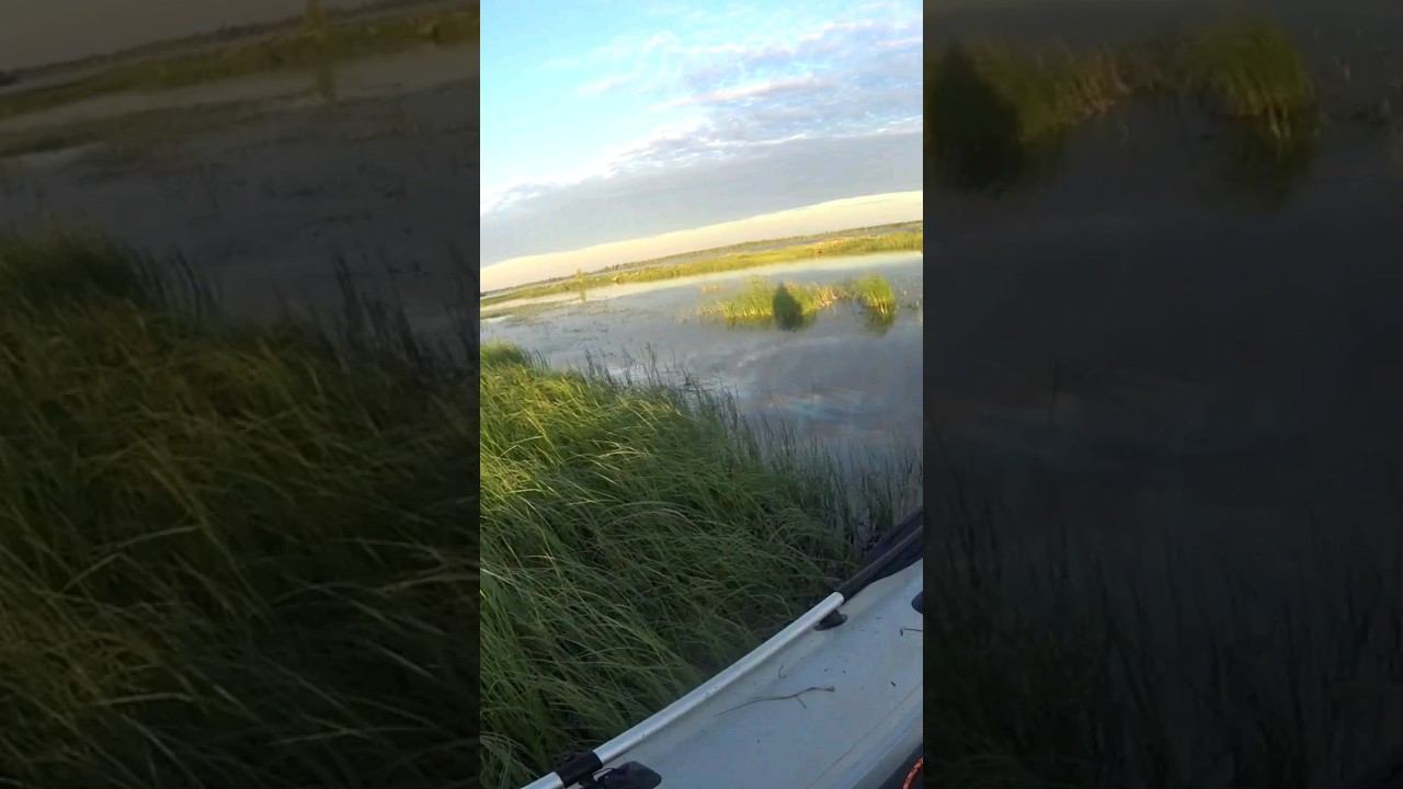 шикарная поклевка,шикарная щука.архив.#тайга#ямал. смотреть онлайн