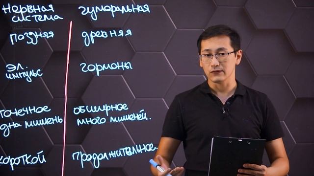Нейрогуморальная регуляция, ее механизмы и их сравнение. смотреть онлайн
