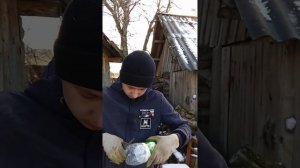 Как сделать из бутылки  почтовый ящик легко и быстро