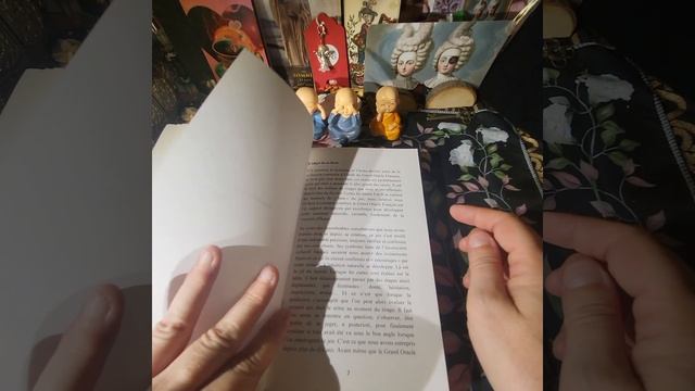 LE GRAND ORACLE FRANÇAIS : 111 cartes et 3 tomes ?? смотреть онлайн