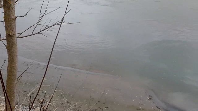 гигантский сом в Тереке 2022 смотреть онлайн