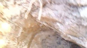 Где глина в земле? Как найти и распознать глину?