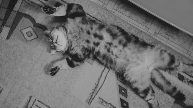 Жить надо ЗДОРОВО