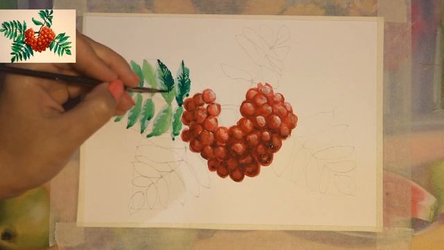 Как нарисовать поэтапно рябину Акварелью/подробный видео урок смотреть онлайн