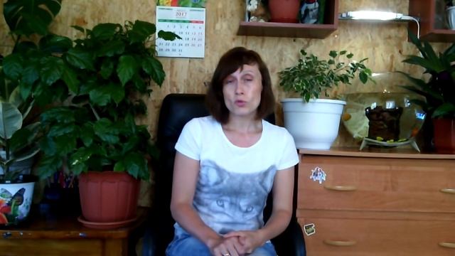 Ремонтные Факторы