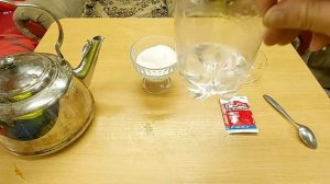 Ловушка для комаров из пластиковой бутылки своими руками