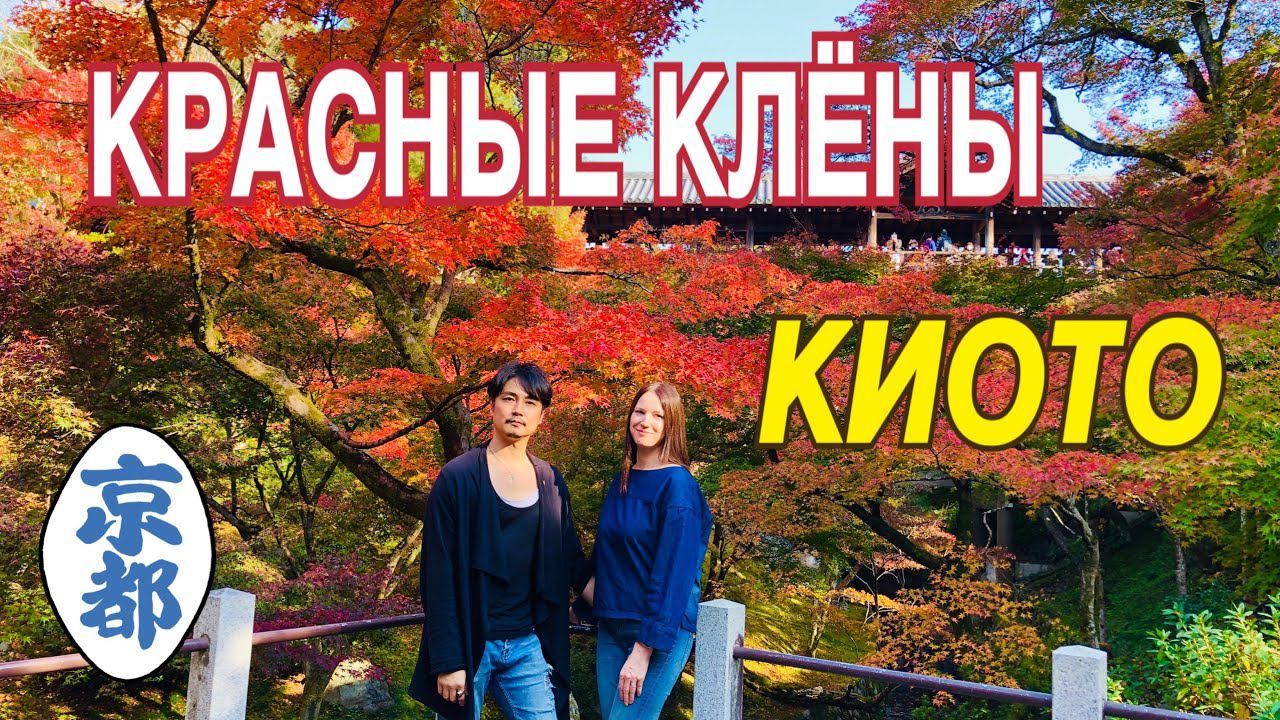 Сезон красных клёнов - момидзи в Японии. Поездка в Киото, храм Тофукудзи, где самые красивые клёны. смотреть онлайн