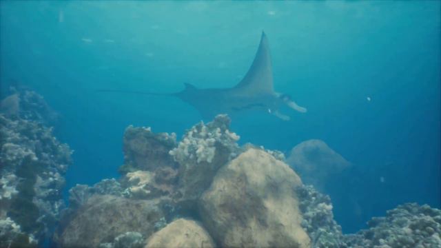 Maldives: A Virtual Journey To Paradise смотреть онлайн