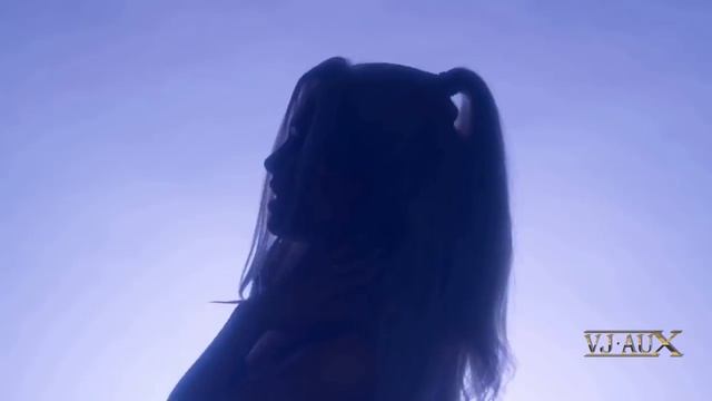 Ace of Base - All For You (Garinorth Remix) VJ Aux смотреть онлайн