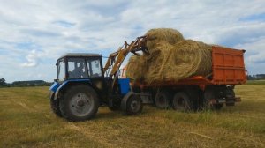 МТЗ 82.1 Погрузка Рулонов Сена на Камазы.