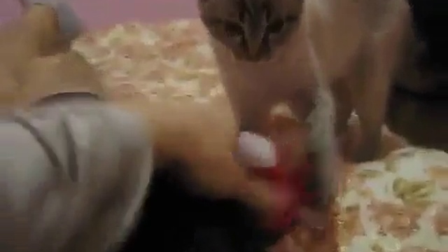 Чем занимаются парни когда их девушки сидят за компом смотреть онлайн