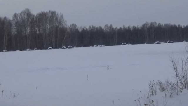 УРА!!!! Нас 4 000 тысячи на КАНАЛЕ!!!!ЮБИЛЕЙ!!! НОВОСТИ! смотреть онлайн