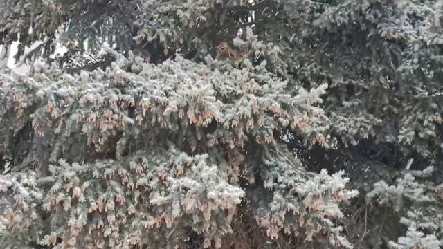 ВСЕ ТАКИ МНЕ НЕ ТАК И МНОГО НАДО, НЕМНОГО ВНИМАНИЕ ? И СЧАСТЬЯ ПОЛНЫЕ ШТАНЫ смотреть онлайн
