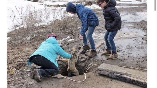 Дети спасают щенка