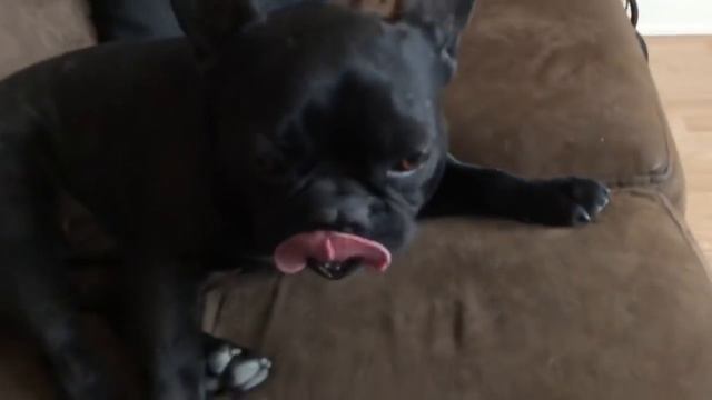 Нагрузка на Марсика возрастает смотреть онлайн