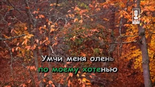 Детские Лесной Олень 1 смотреть онлайн