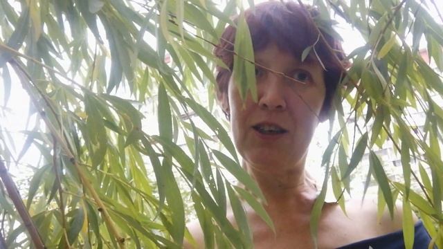 Проект "Год моей жизни в стихах и впечатлениях" день 80 смотреть онлайн