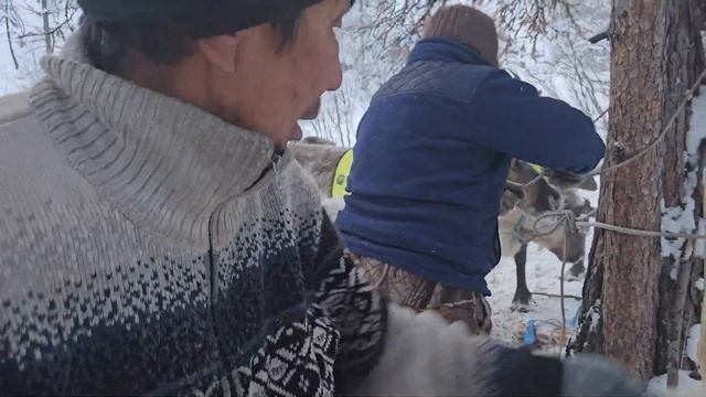 стрижка рогов, делают рабочую причёску смотреть онлайн