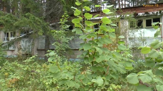 Заброшенные пионерские лагеря -  