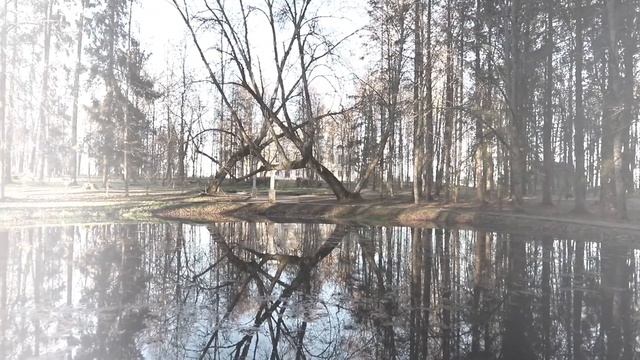 Романс "Клен, ты мой опавший" на стихотворение С. Есенина. Переложение для гитары. смотреть онлайн