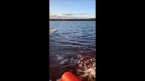 Лодка Риф Тритон 420F НДНД+Ямаха 9.9 Санкт Петербург. Сезон 2019