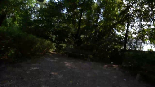 LACOSTE M89. Мужские Кеды Lakoste обзор смотреть онлайн