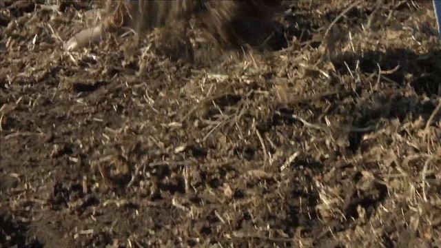 Kelly Engineering 45' Diamond Disc Chain Harrow