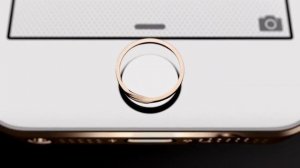 Beeline iPhone 5s