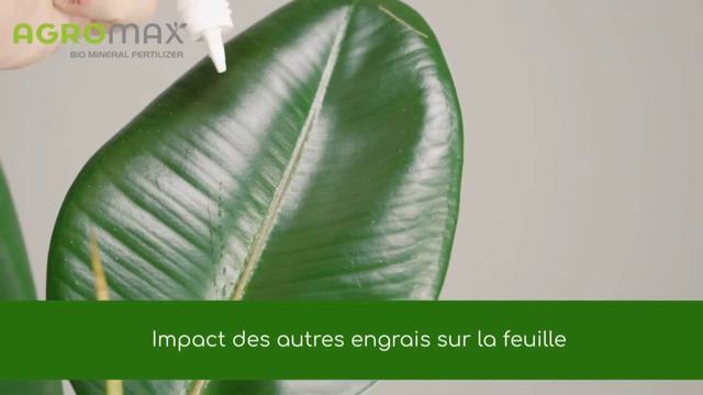 Action des adjuvants dans l'engrais bio-minéral liquide Agromax. смотреть онлайн