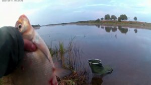 хорошая рыбалка на Волхове