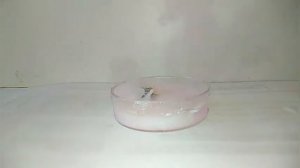 Растворение КАЛЬЦИЯ в воде. Реакция ВОДЫ и КАЛЬЦИЯ. Химические опыты. Chemical experiment.