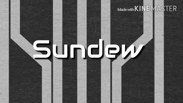 Sundew Intro.