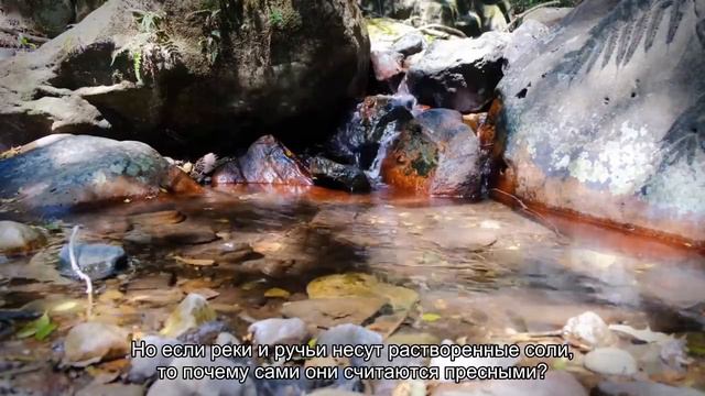 Водные приключения с друзьями