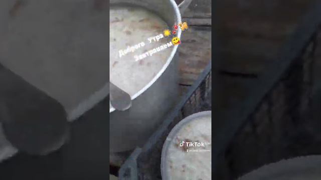 Каша для Собак 🐾🐕😋 смотреть онлайн