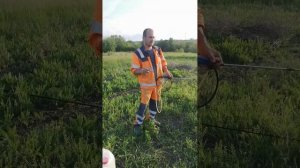 Опрыкивание гербицидом Торнадо 500