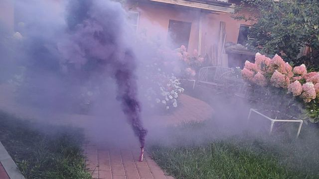 Фиолетовая дымовая завеса смотреть онлайн